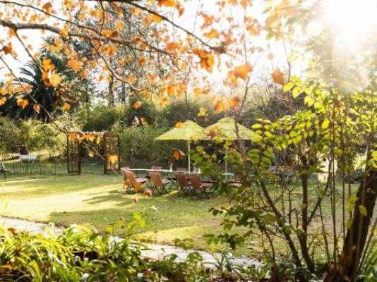 Hakunamatata Country Estate - Garden