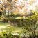 Hakunamatata Country Estate - Garden