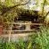 Hakunamatata Country Estate - 283169