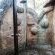 Hakunamatata Country Estate - 283173