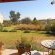 Hartley Manor Guest House - Garden