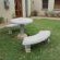 Hartley Manor Guest House - Garden