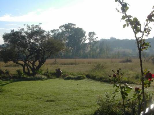 Hartley Manor Guest House - Garden