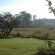Hartley Manor Guest House - Garden