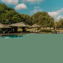 Bayala Private Safari Lodges - 283219