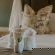 Bayala Private Safari Lodges - 283231