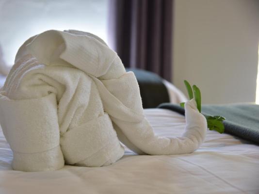 Bayala Private Safari Lodges - 283234