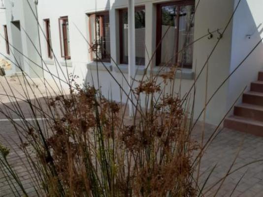 4 Elements lodge - Garden
