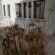4 Elements lodge - Garden