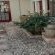 4 Elements lodge - Garden