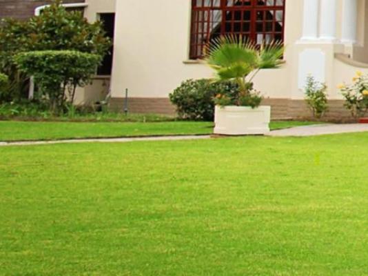 Belle Vue Guesthouse - Garden