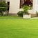 Belle Vue Guesthouse - Garden