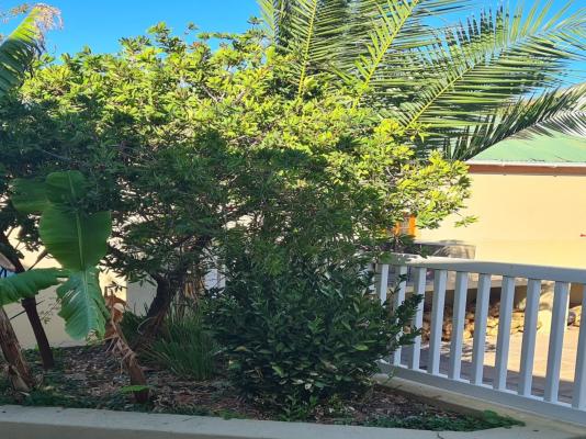 Hexberg Cottage - 283439