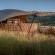 Madwaleni River Lodge - 283483