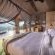 Madwaleni River Lodge - 283517