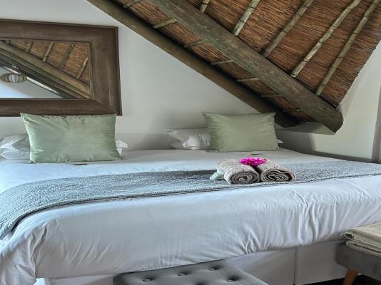 Tree Aloe Guest House - 283644