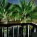 Tree Aloe Guest House - 283645