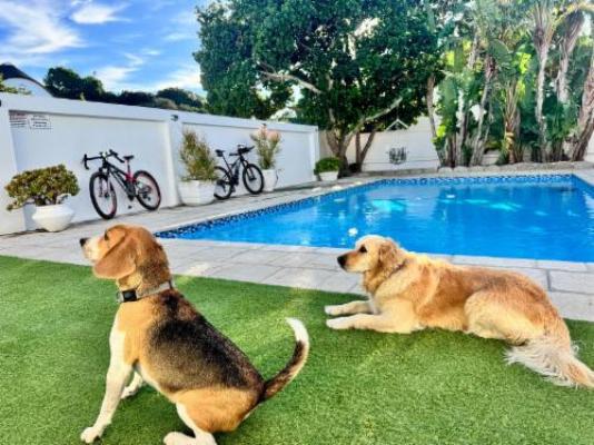 Adrift Guesthouse - Swimming pool