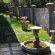 Tranquil House B&B @ 121 Berry Street - Property / Building