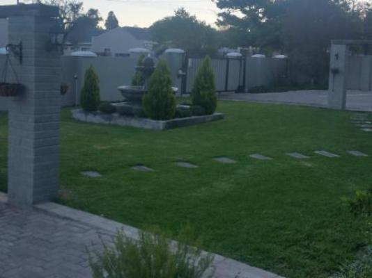 Tranquil House B&B @ 10 Berry Street - Garden