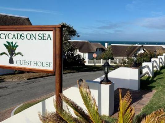 Cycads on Sea Guest House - Facade or entrance
