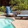 Cycads on Sea Guest House - Pool view