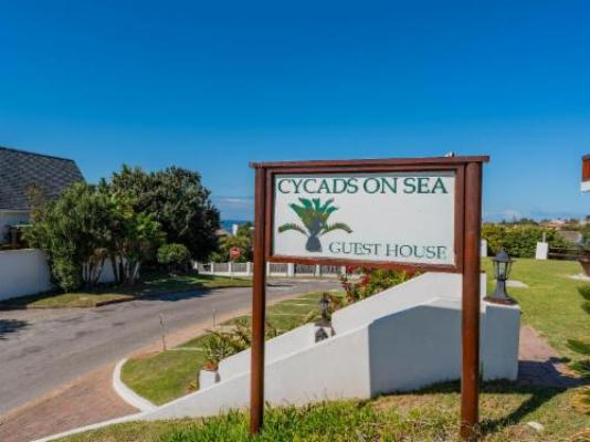Cycads on Sea Guest House - Street view