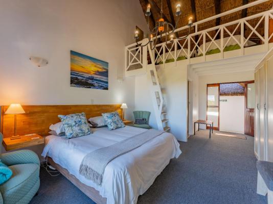 Cycads on Sea Guest House - 283992
