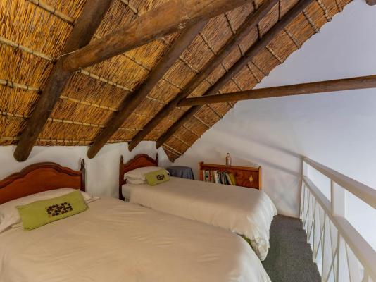 Cycads on Sea Guest House - 283993