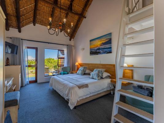Cycads on Sea Guest House - 283994