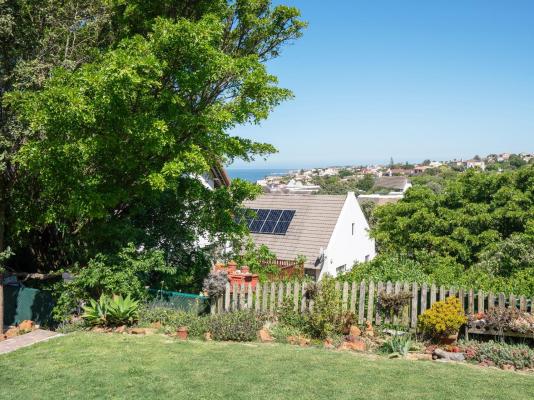 Cycads on Sea Guest House - 283996