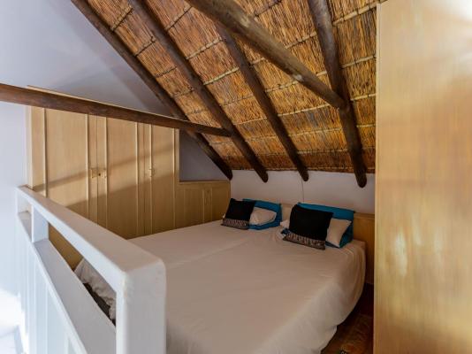 Cycads on Sea Guest House - 284002