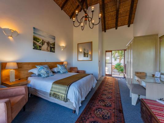Cycads on Sea Guest House - 284008