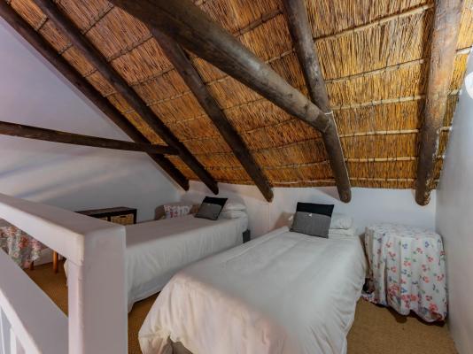 Cycads on Sea Guest House - 284014