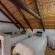 Cycads on Sea Guest House - 284014