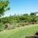 Cycads on Sea Guest House - 284016