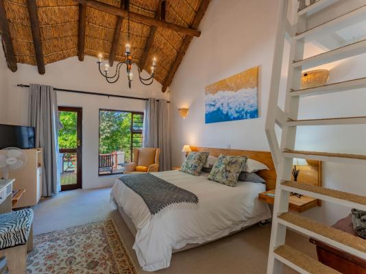 Cycads on Sea Guest House - 284018