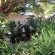 Garden Court B&B - Garden