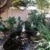 Garden Court B&B - Garden