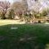 AGT Guesthouse - Garden view
