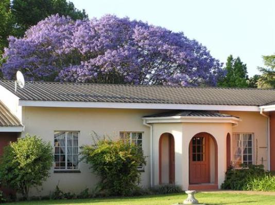 Villa Prince Imperial - Property / Building