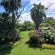 Birds of Paradise B&B - 284706