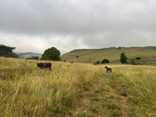 Wyford Farm - 284792