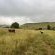 Wyford Farm - 284792