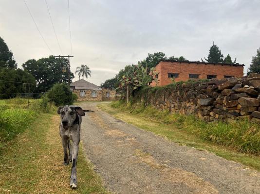 Wyford Farm - 284795