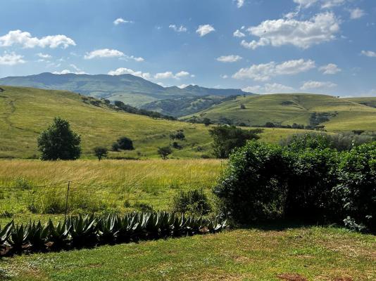 Wyford Farm - 284799