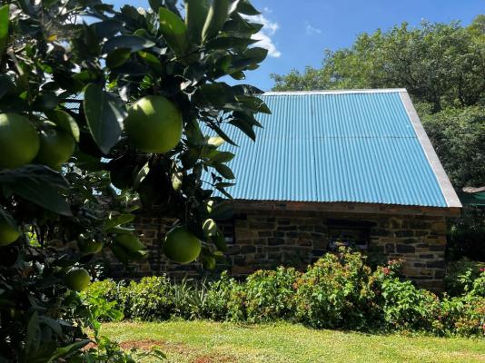 Wyford Farm - 284817