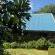 Wyford Farm - 284817