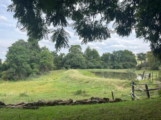 Wyford Farm - 284820