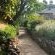 Wyford Farm - 284823